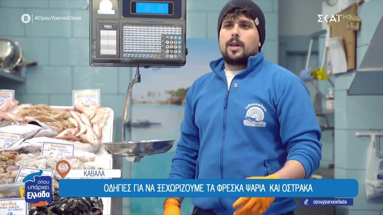 Οδηγίες για να ξεχωρίζουμε τα φρέσκα ψάρια και όστρακα