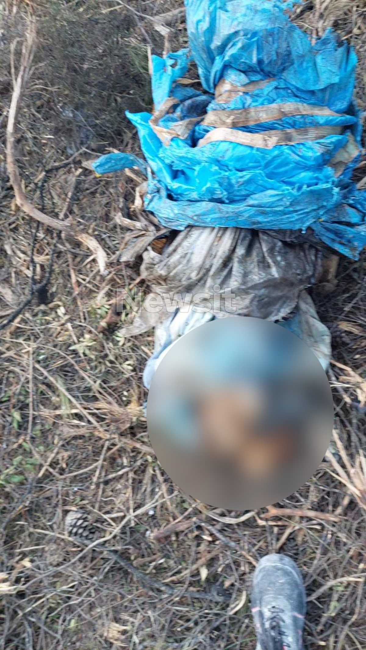 Χαλκιδική: Μουμιοποιημένο το πτώμα που ανακαλύφθηκε στο χωράφι – Οι αρχές υποψιάζονται εγκληματική πράξη 5 Χαλκιδική: Μουμιοποιημένο το πτώμα που ανακαλύφθηκε στο χωράφι – Οι αρχές υποψιάζονται εγκληματική πράξη