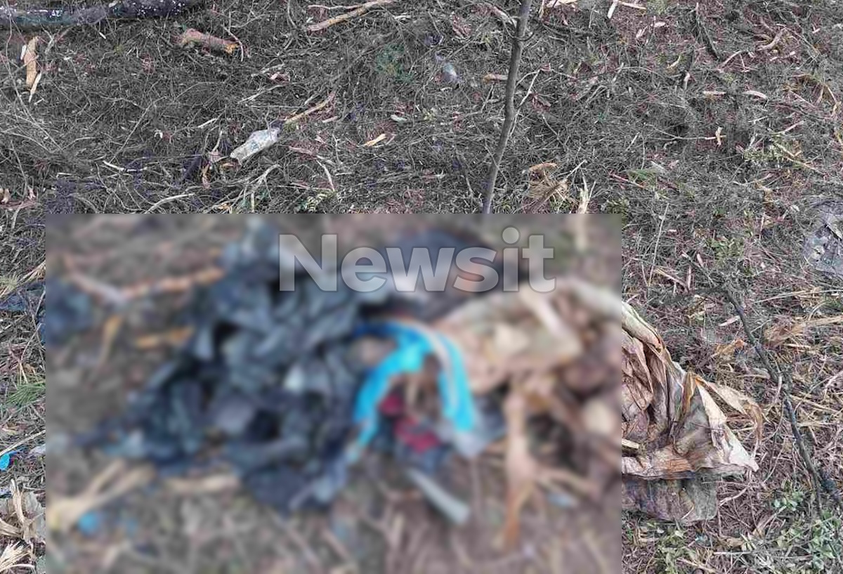 Χαλκιδική: Ανακαλύφθηκε σακούλα με ανθρώπινα οστά – «Ήταν κρυμμένα σε βαλίτσα» αναφέρει ο πρόεδρος του Πευκοχωρίου που τα εντόπισε