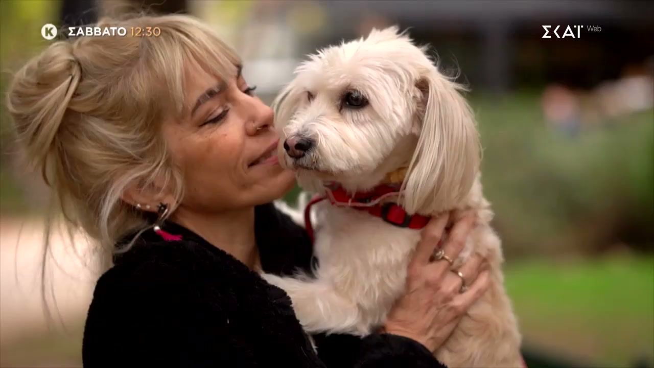 Home 77 Pet Stories | Μυρτώ Αλικάκη – Trailer | 21/02/2026