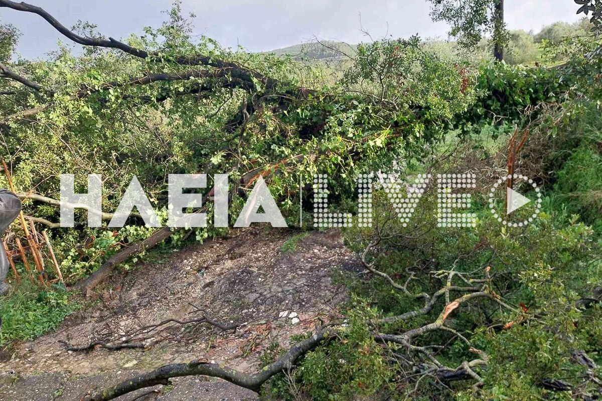 Κακοκαιρία: Ανεμοστρόβιλος κατέστρεψε στέγαστρα και έσπασε τζαμαρίες σε Πύργο και Ηλεία – Κατολισθήσεις σε Παλαιοκαστρίτσα και Πρέβεζα
