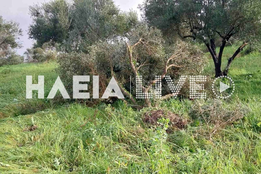 Κακοκαιρία: Ανεμοστρόβιλος κατέστρεψε στέγαστρα και έσπασε τζαμαρίες σε Πύργο και Ηλεία – Κατολισθήσεις σε Παλαιοκαστρίτσα και Πρέβεζα