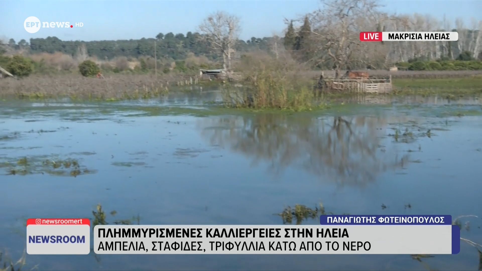 Πλημμυρισμένες καλλιέργειες στην Ηλεία: Αμπέλια, σταφίδες, τριφύλλια κάτω από το νερό