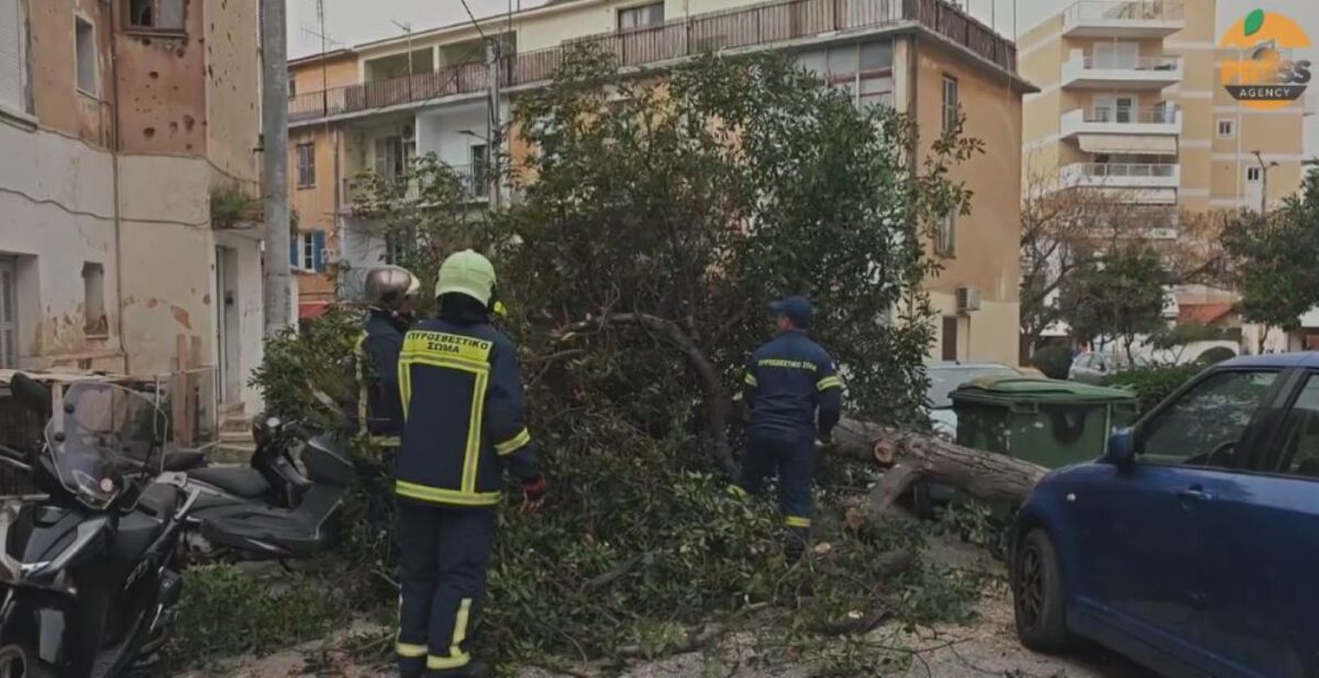Κακοκαιρία: Δέντρα κατέρρευσαν στην Αττική λόγω θυελλωδών ανέμων – Συναγερμός στην Πυροσβεστική σε 5 περιοχές