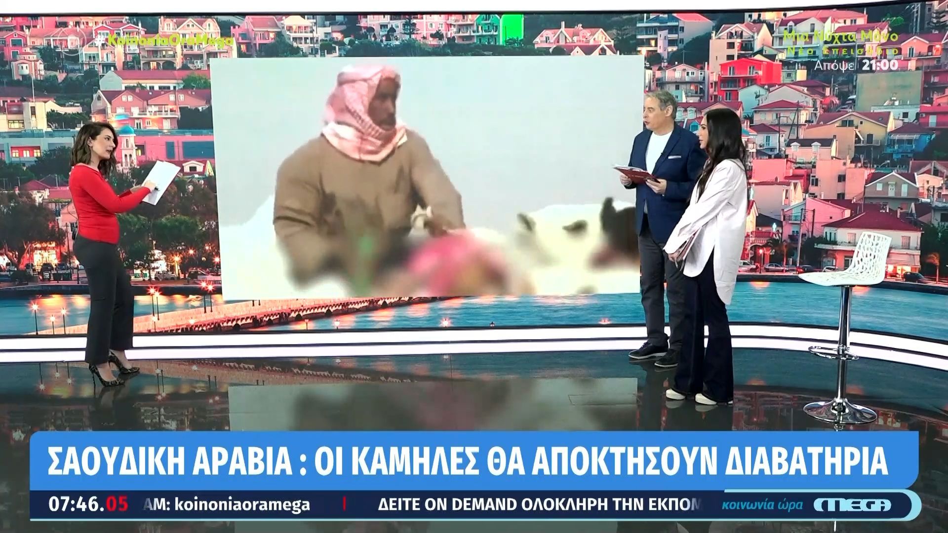 Σαουδική Αραβία: Οι καμήλες θα αποκτήσουν διαβατήρια