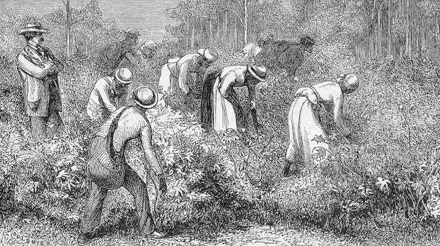 Ο αμόρφωτος σκλάβος που έλυσε άμεσα πρόβλημα που οι επιστήμονες πάλευαν για ώρες!