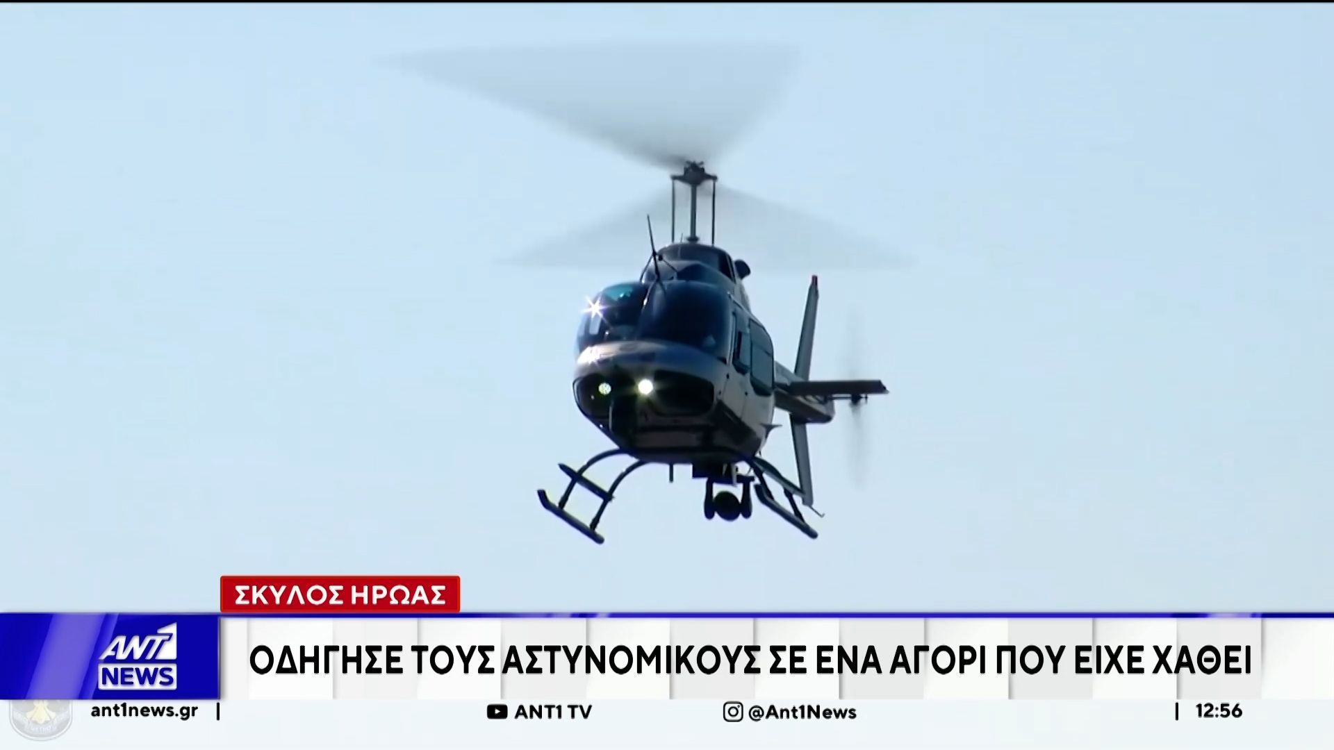 Στη διάσωση ενός αγοριού τριών ετών συνέβαλε αδέσποτος σκύλος