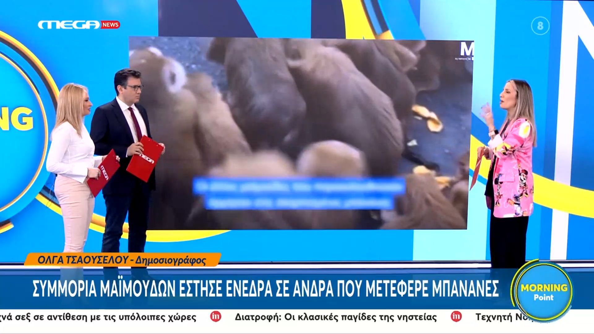 Συμμορία μαϊμούδων έστησε ενέδρα σε άνδρα που μετέφερε μπανάνες
