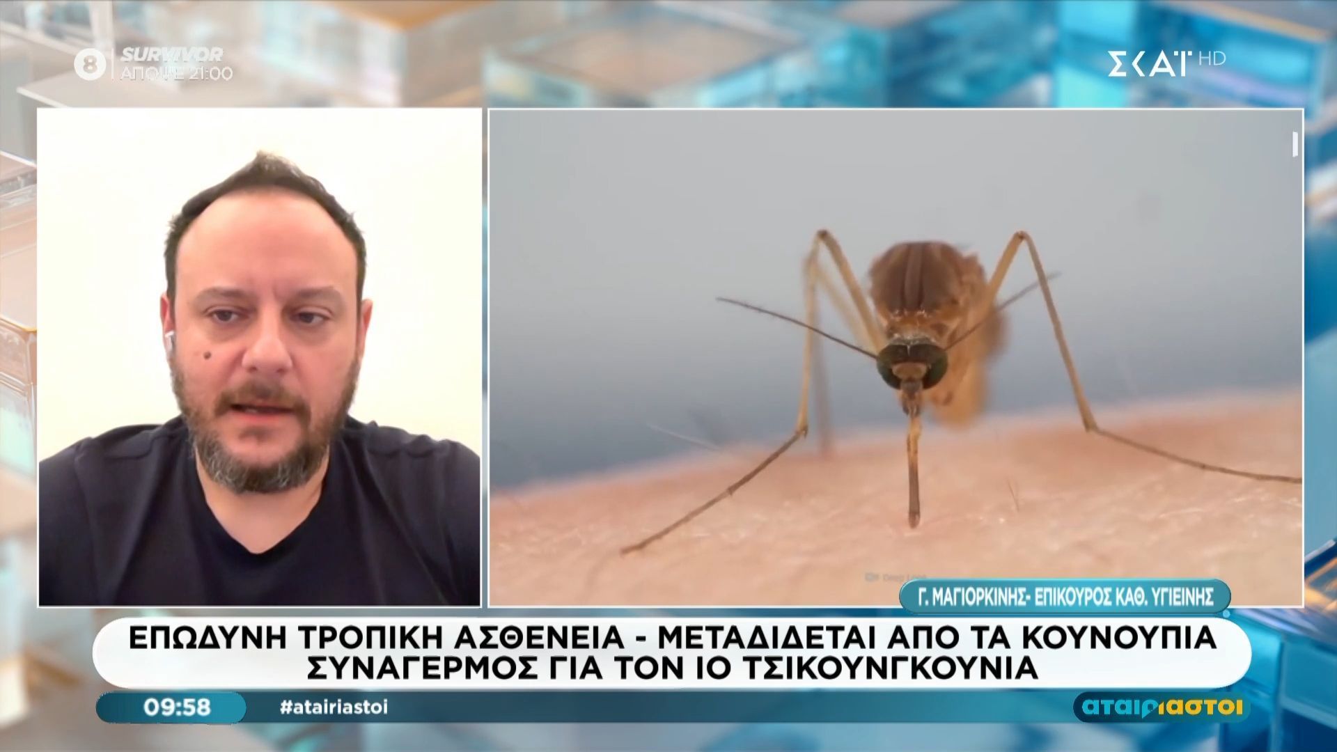 Συναγερμός για το ιό τσικουνγκούνια