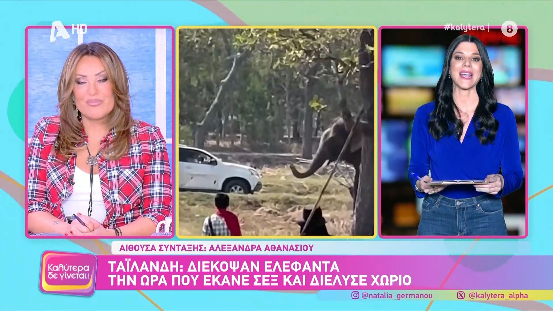Ταϊλάνδη: Διέκοψαν ελέφαντα την ώρα που έκανε σεξ και διέλυσε χωριό
