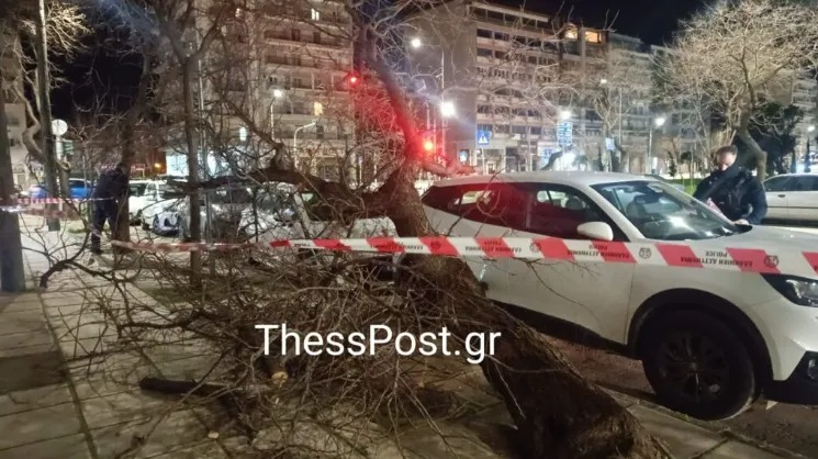 Θεσσαλονίκη: Πολλαπλές πτώσεις δέντρων λόγω ισχυρών ανέμων – Ακυρώσεις πτήσεων στο «Μακεδονία» 5 Αυτοκίνητο