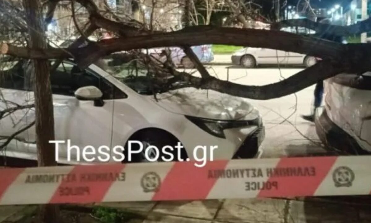 Θεσσαλονίκη: Πολλαπλές πτώσεις δέντρων λόγω ισχυρών ανέμων – Ακυρώσεις πτήσεων στο «Μακεδονία»