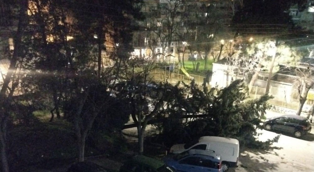 Θεσσαλονίκη: Πολλαπλές πτώσεις δέντρων λόγω ισχυρών ανέμων – Ακυρώσεις πτήσεων στο «Μακεδονία» 7 Θεσσαλονίκη: Πολλαπλές πτώσεις δέντρων λόγω ισχυρών ανέμων – Ακυρώσεις πτήσεων στο «Μακεδονία»