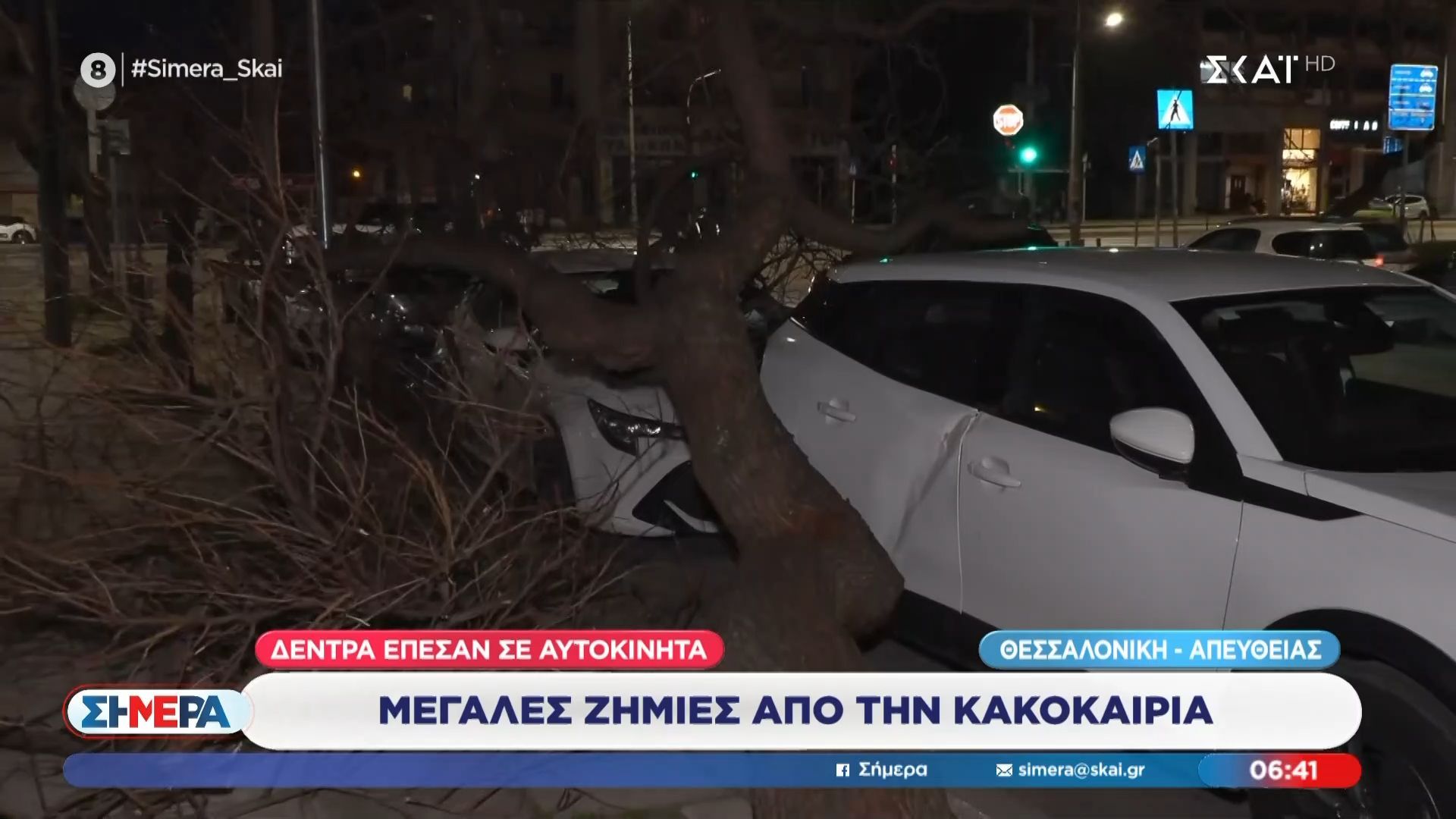 Θεσσαλονίκη: Δέντρα έπεσαν σε αυτοκίνητα