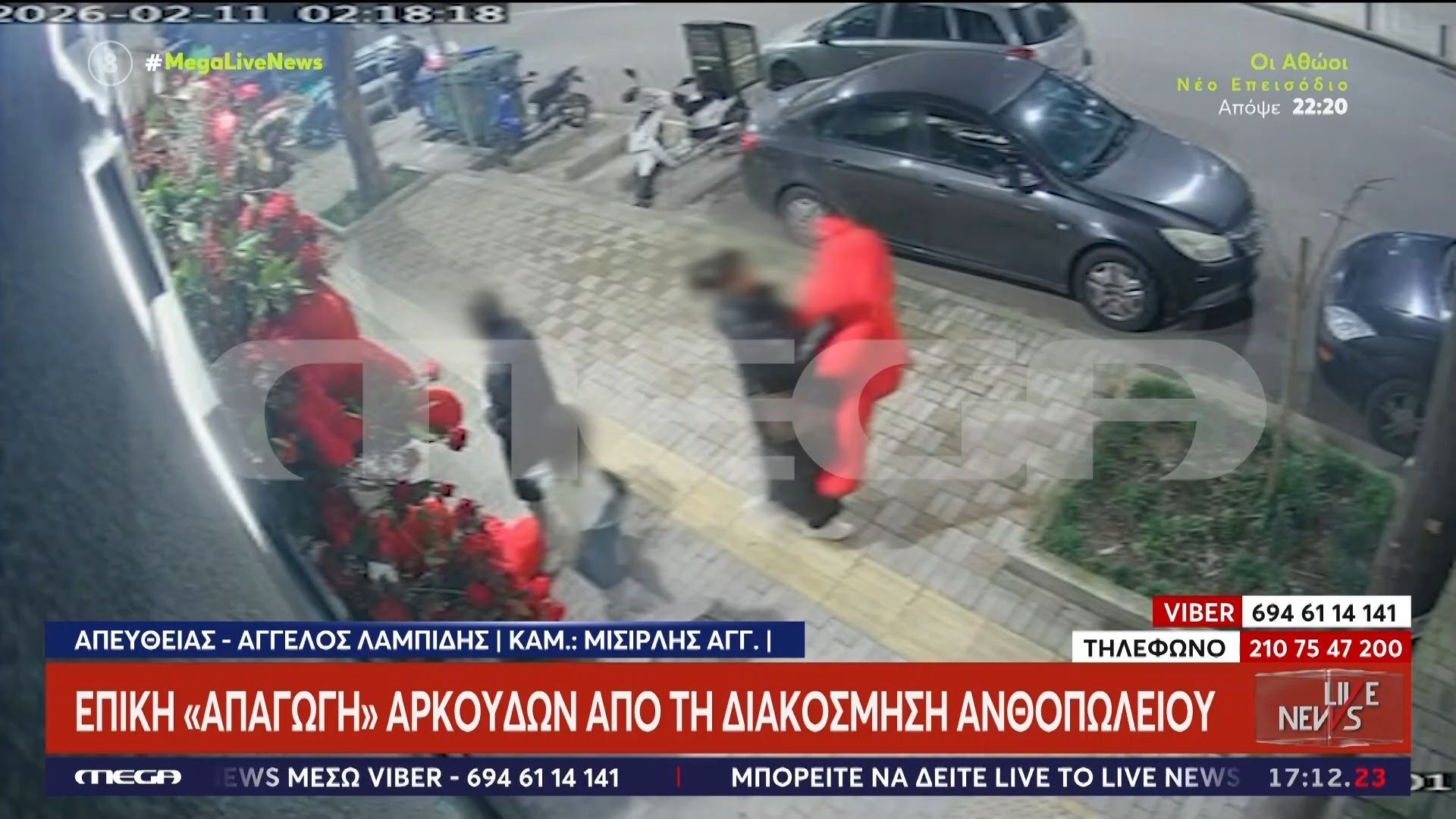 Θεσσαλονίκη: Επική «απαγωγή» αρκούδων για του Αγίου Βαλεντίνου!