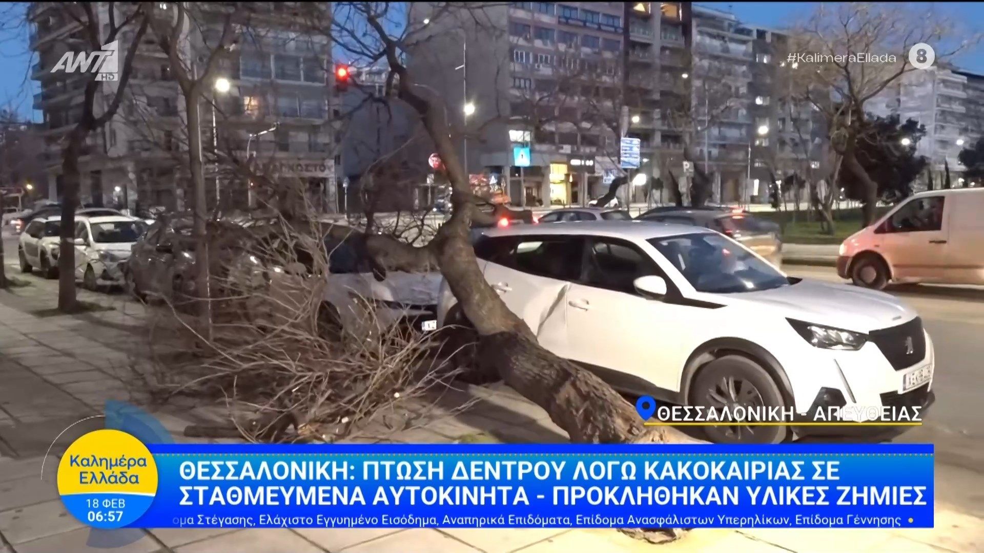 Θεσσαλονίκη: Πτώση δέντρου λόγω κακοκαιρίας σε σταθμευμένα αυτοκίνητα – Καλημέρα Ελλάδα – 18/02/2026