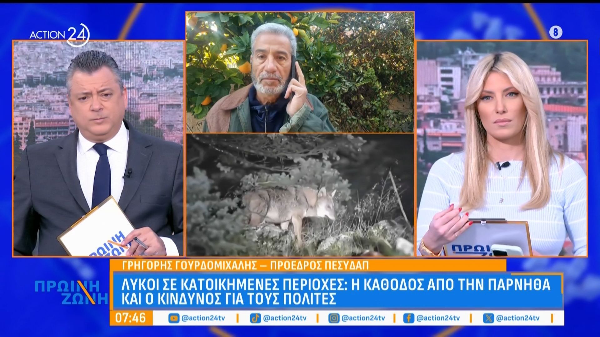 Τι κάνετε αν έρθετε αντιμέτωποι με λύκο