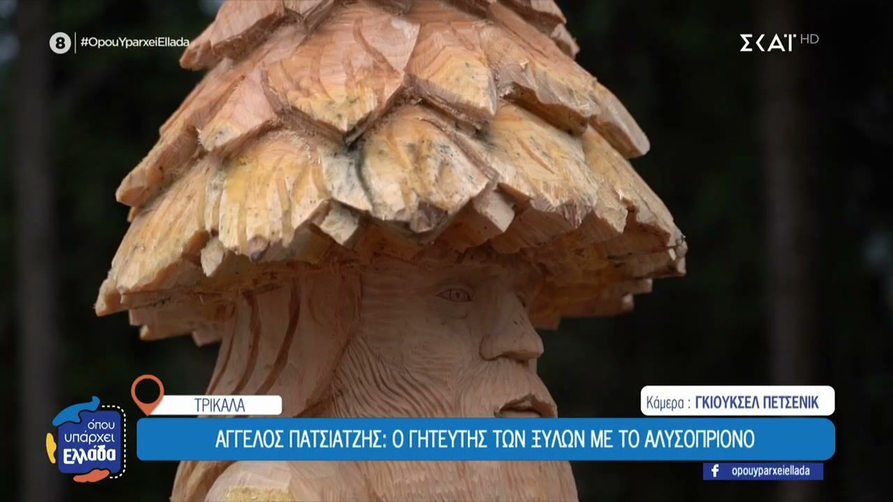 Τρίκαλα: Όταν το δάσος γίνεται γκαλερί τέχνης