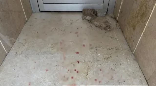 Τουρκία: 35χρονος αποφυλακίστηκε προσωρινά και δολοφόνησε τη μητέρα, την 8χρονη κόρη και την εν διαστάσει σύζυγό του