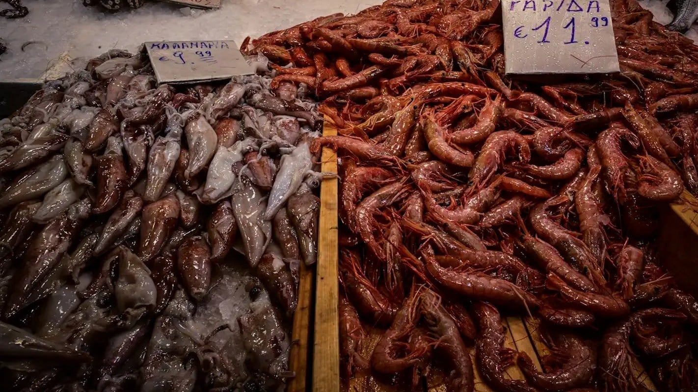 Καθαρά Δευτέρα 2026: Μεγάλη κίνηση στη Βαρβάκειο – Θαλασσινά έως 30% ακριβότερα, ελπίδες για εκπτώσεις έως 50%