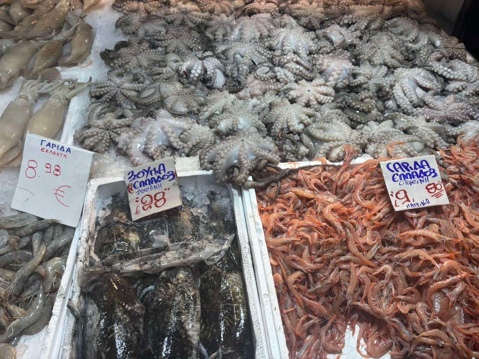 Καθαρά Δευτέρα: Καλαμαράκια στα 22 ευρώ, λαγάνα πάνω από 3,30 – Ώρες λειτουργίας Βαρβάκειου και Ρέντη