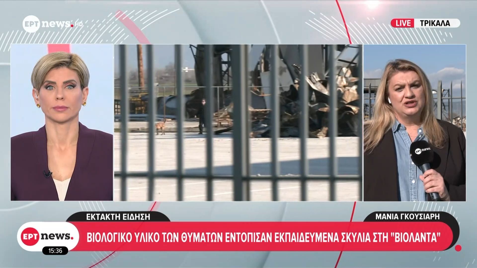 Βιολογικό υλικό των θυμάτων εντόπισαν εκπαιδευμένα σκυλιά στη Βιολάντα