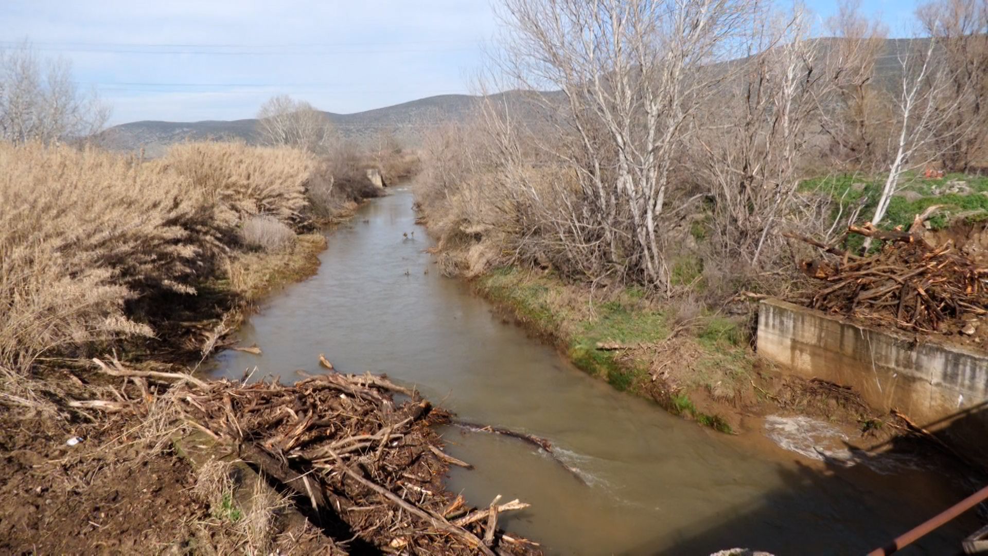 Βοιωτία: Φερτές ύλες «έφραξαν» τον Κηφισό.