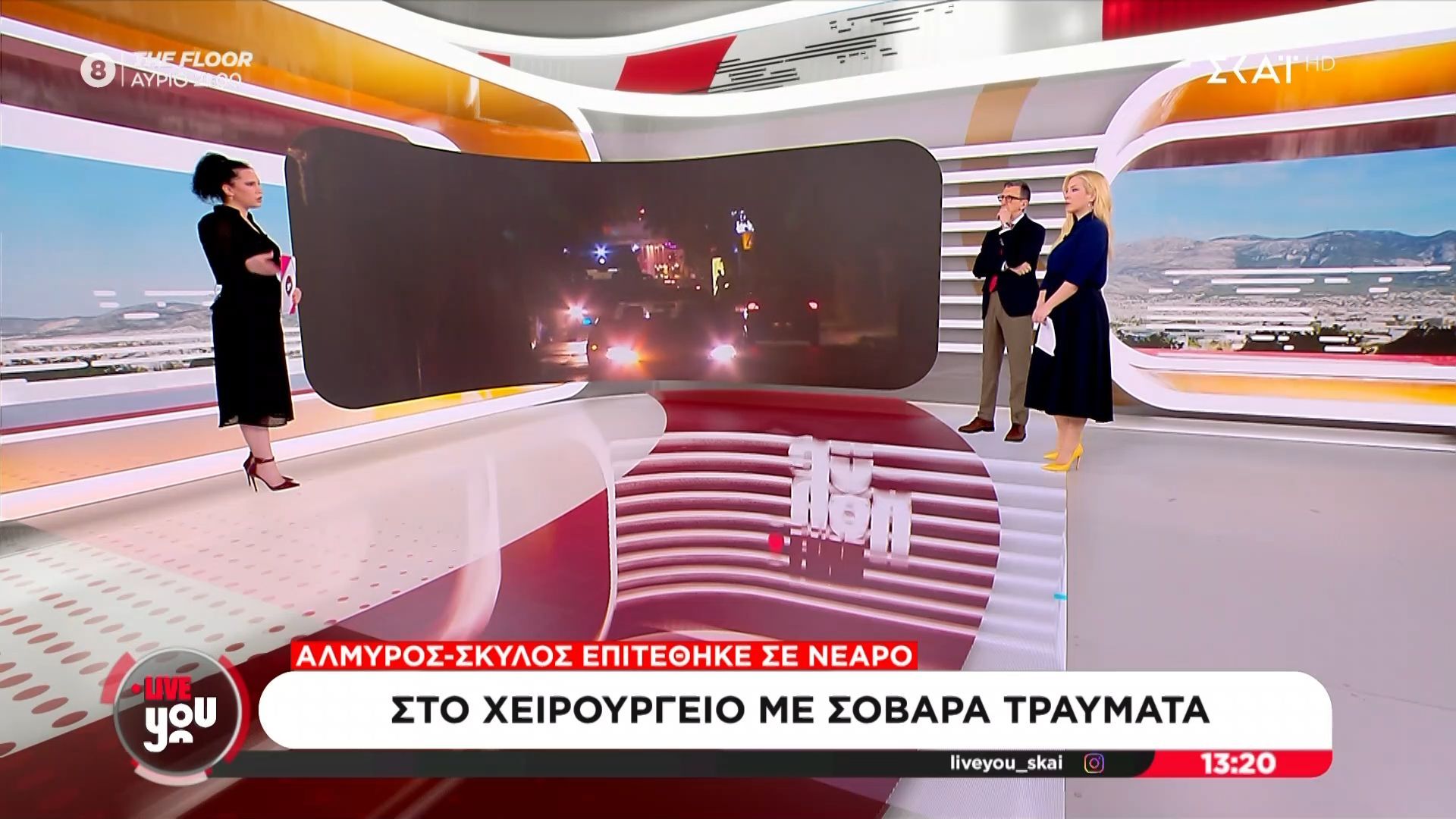 Βόλος: Σκύλος επιτέθηκε σε νεαρό