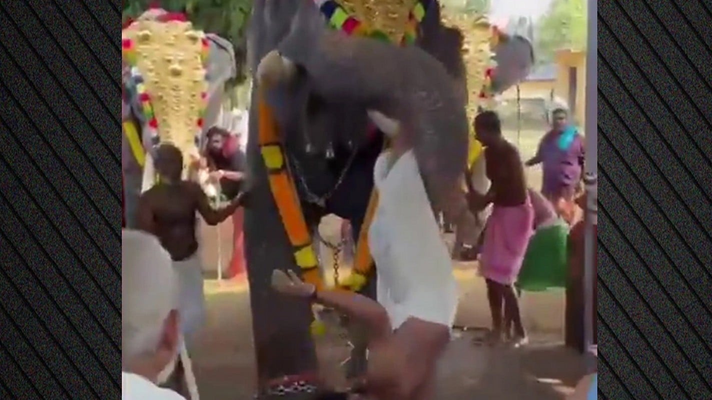 Ινδία: Ελέφαντας άρπαξε άνδρα με την προβοσκίδα του και τον πέταξε σοβαρά τραυματισμένο – ΒΙΝΤΕΟ