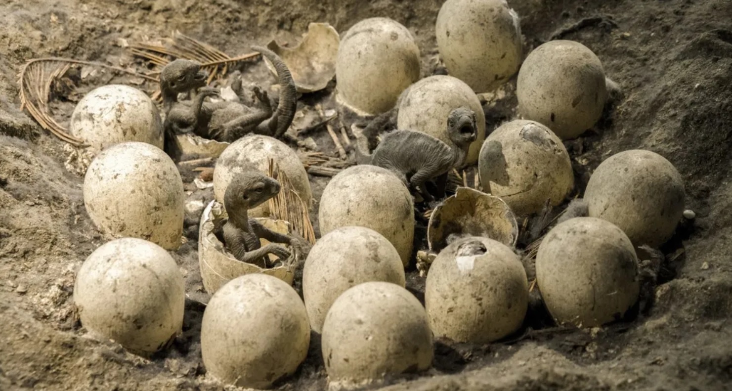 Γαλλία: Αρχαιολόγοι βρήκαν τυχαία εκατοντάδες αυγά δεινοσαύρων σε ιστορικό χώρο