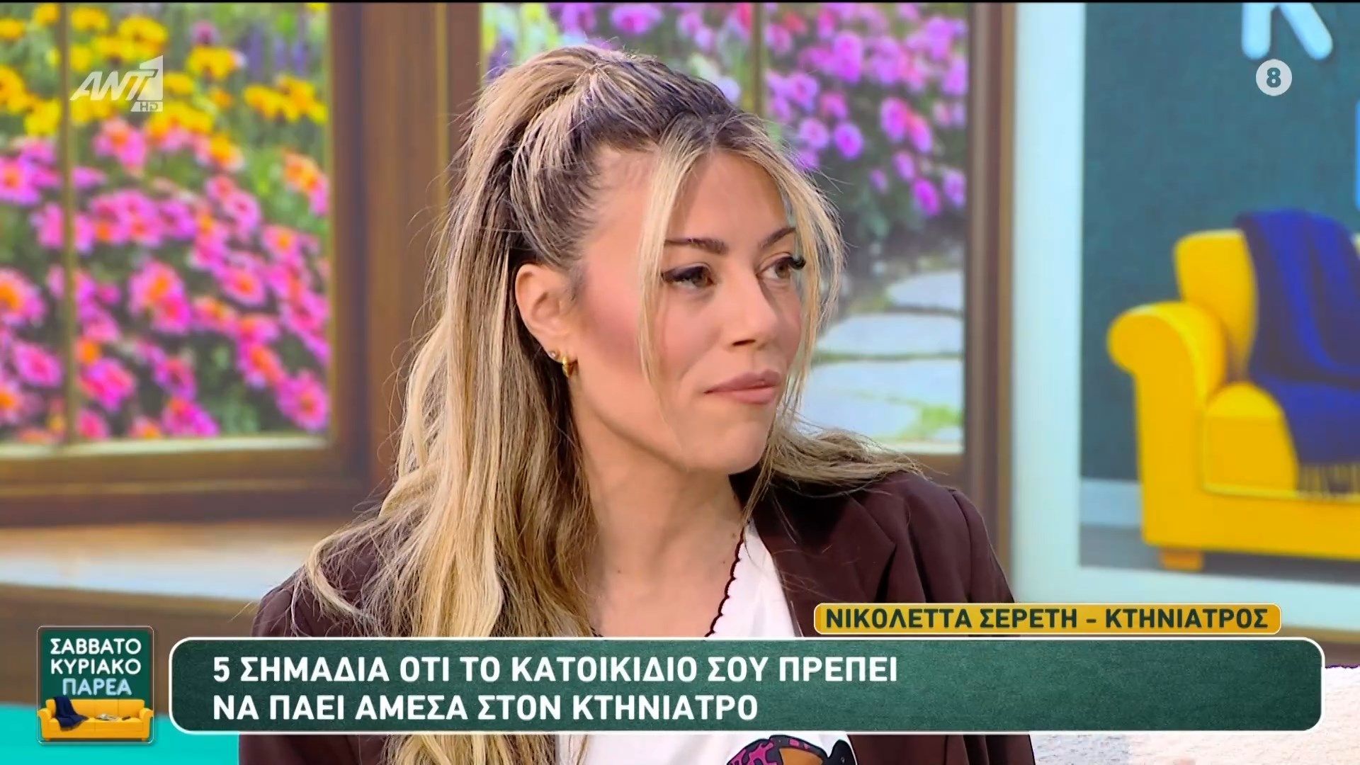 5 σημάδια ότι το κατοικίδιο σου πρέπει να πάει άμεσα στον κτηνιάτρο – Σαββατοκύριακο Παρέα – 08/03/2026