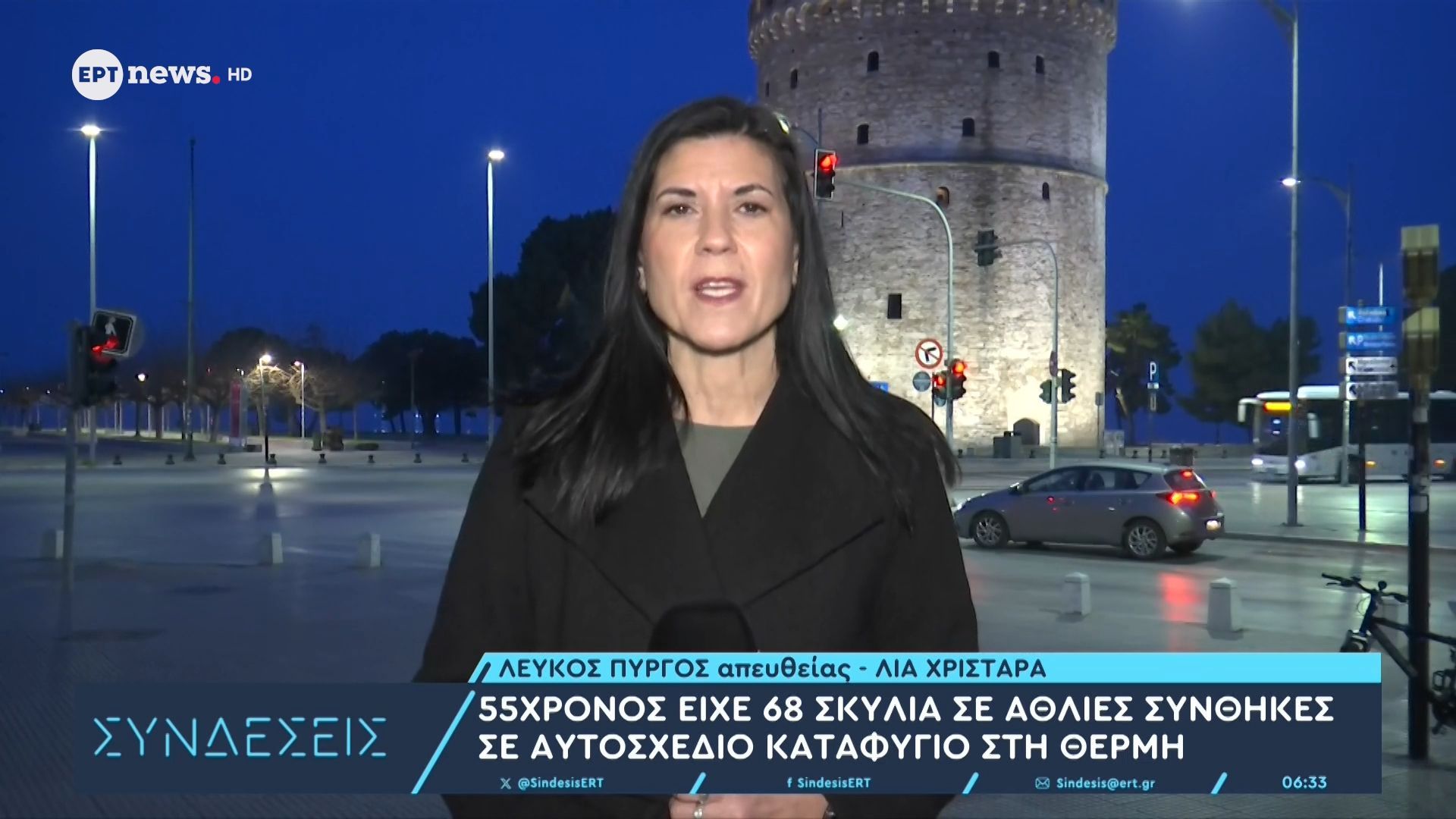 55χρονος είχε 68 σκυλιά σε άθλιες συνθήκες σε αυτοσχέδιο καταφύγιο στη Θέρμη