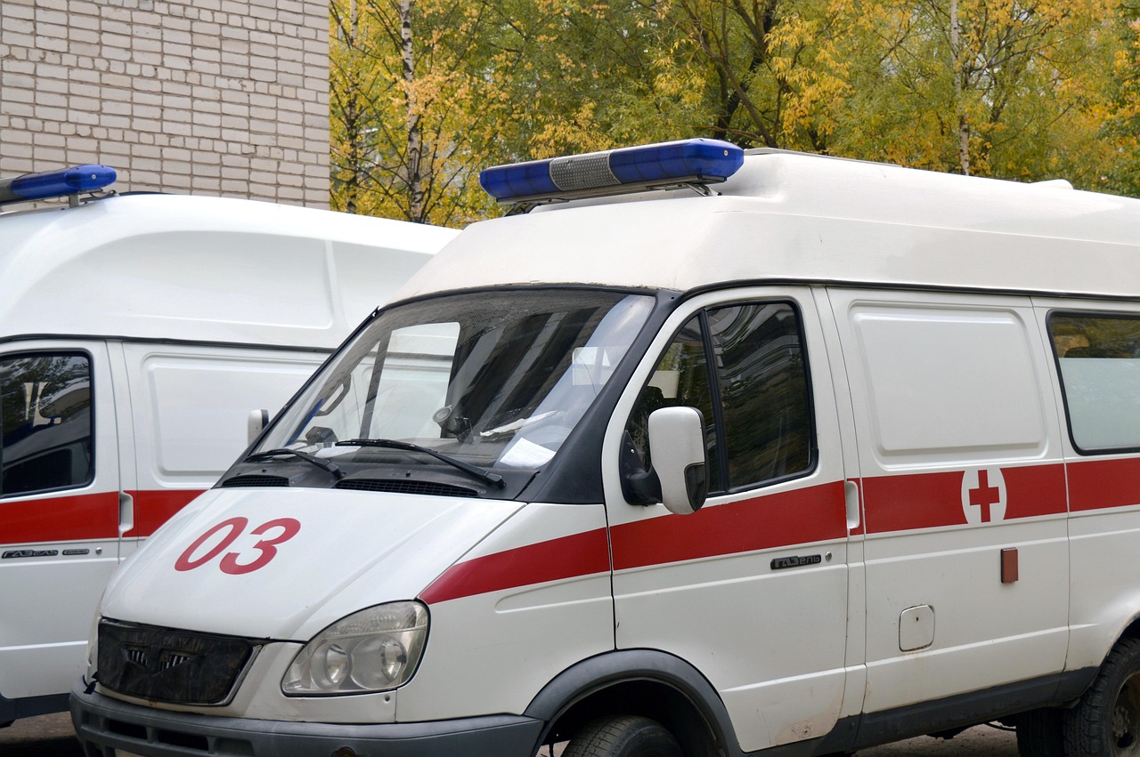 7 μικρές αλλαγές που θα κάνουν το κατοικίδιό σου πιο υγιές σε 30 μέρες