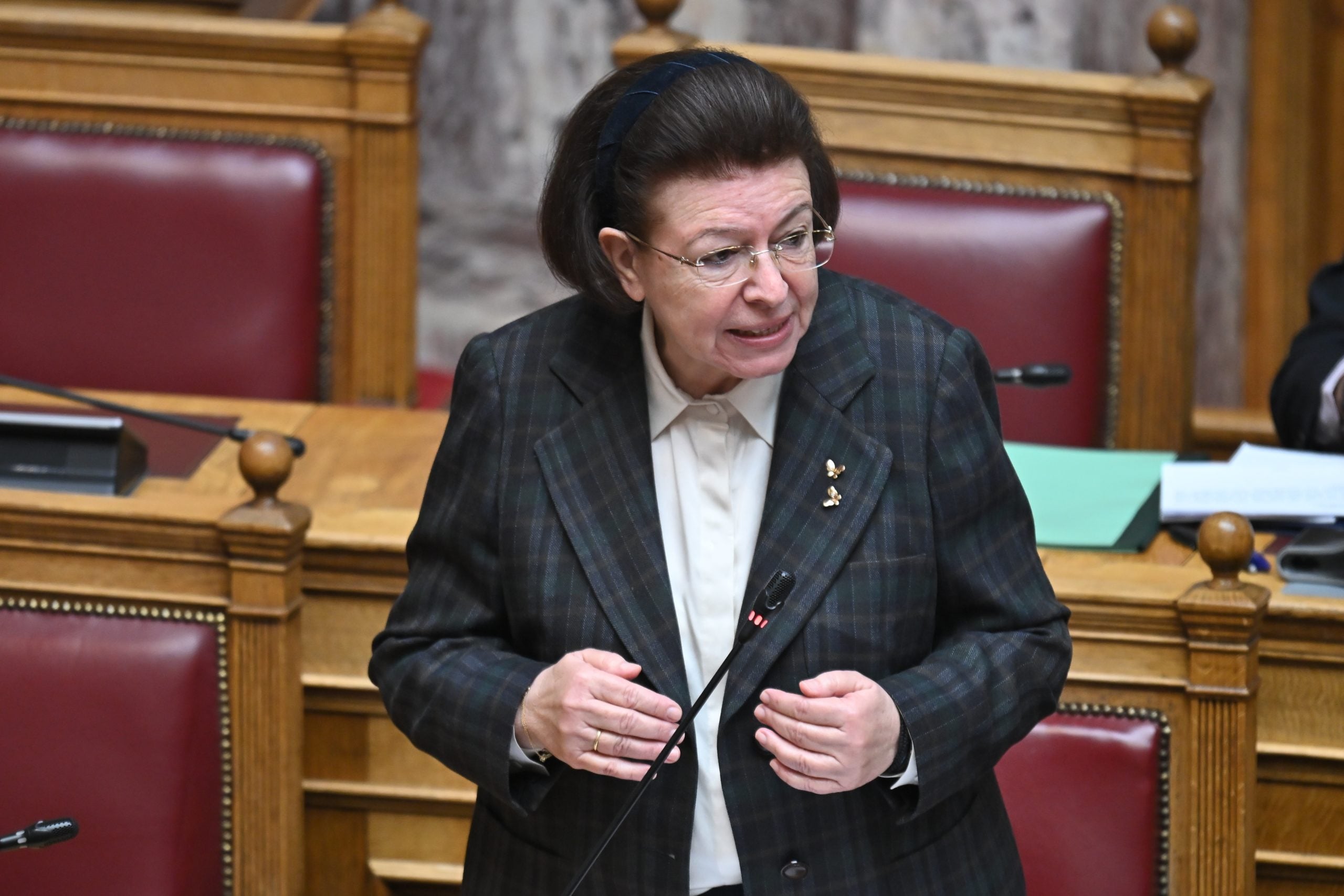Μενδώνη στη Βουλή: Επικείμενη η κατάθεση της ρύθμισης για το Εθνικό Φωτογραφικό Αρχείο