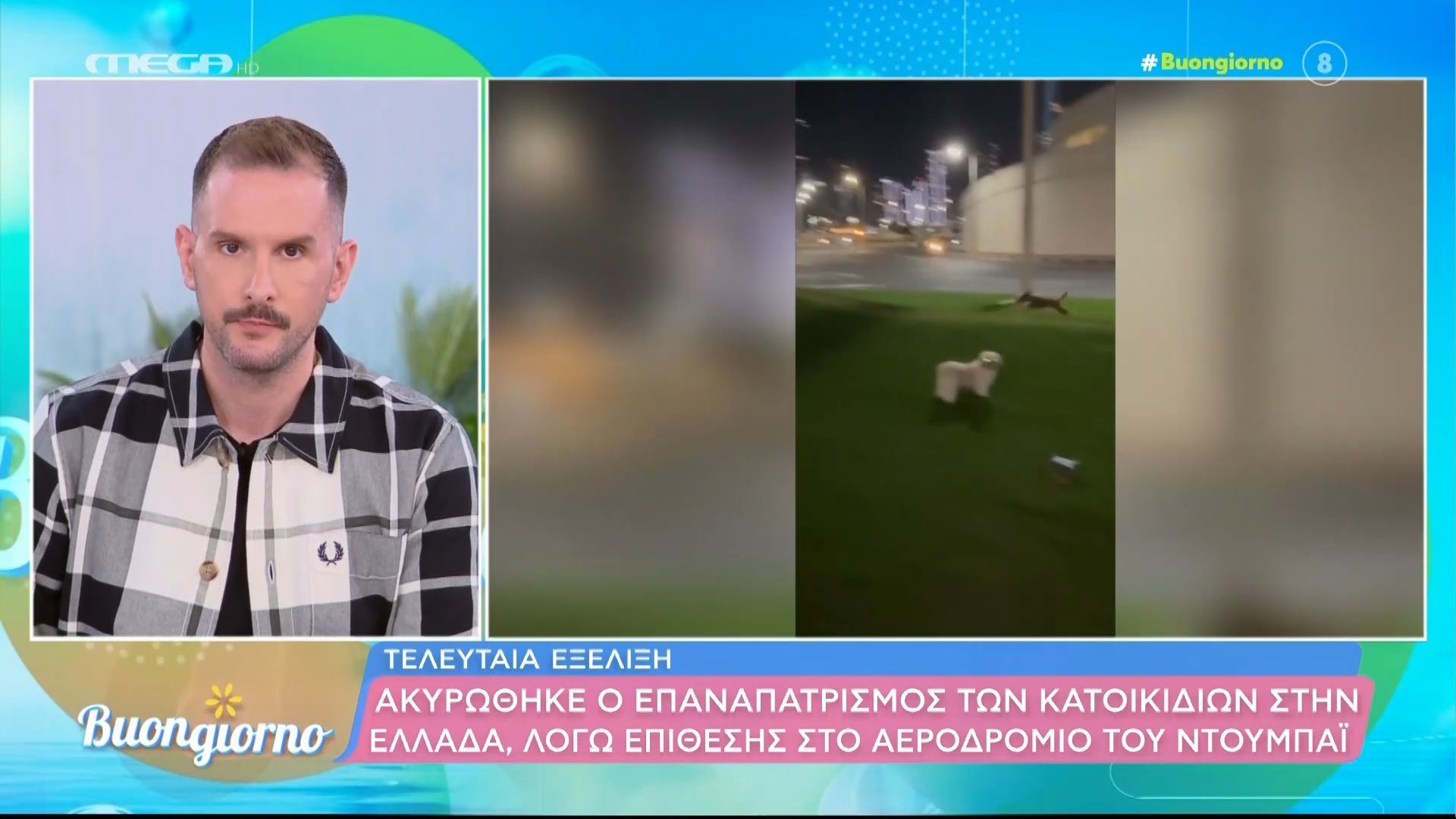 Ακυρώθηκε ο επαναπατρισμός των κατοικιδίων στην Ελλάδα, λόγω επίθεσης στο αεροδρόμιο του Ντουμπάι