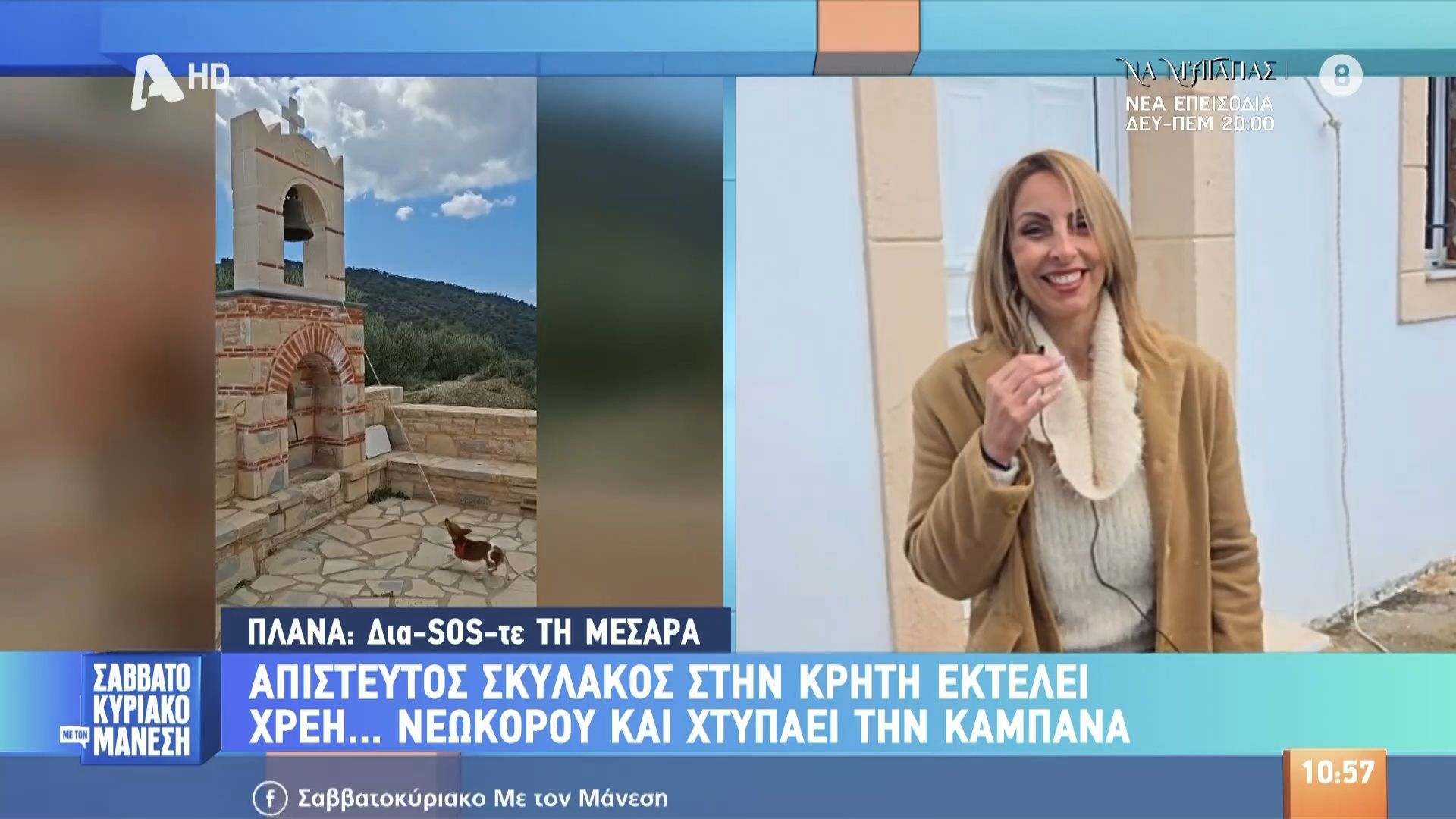 Απίστευτος σκυλάκος στην Κρήτη εκτελεί χρέη…νεωκόρου και χτυπάει την καμπάνα