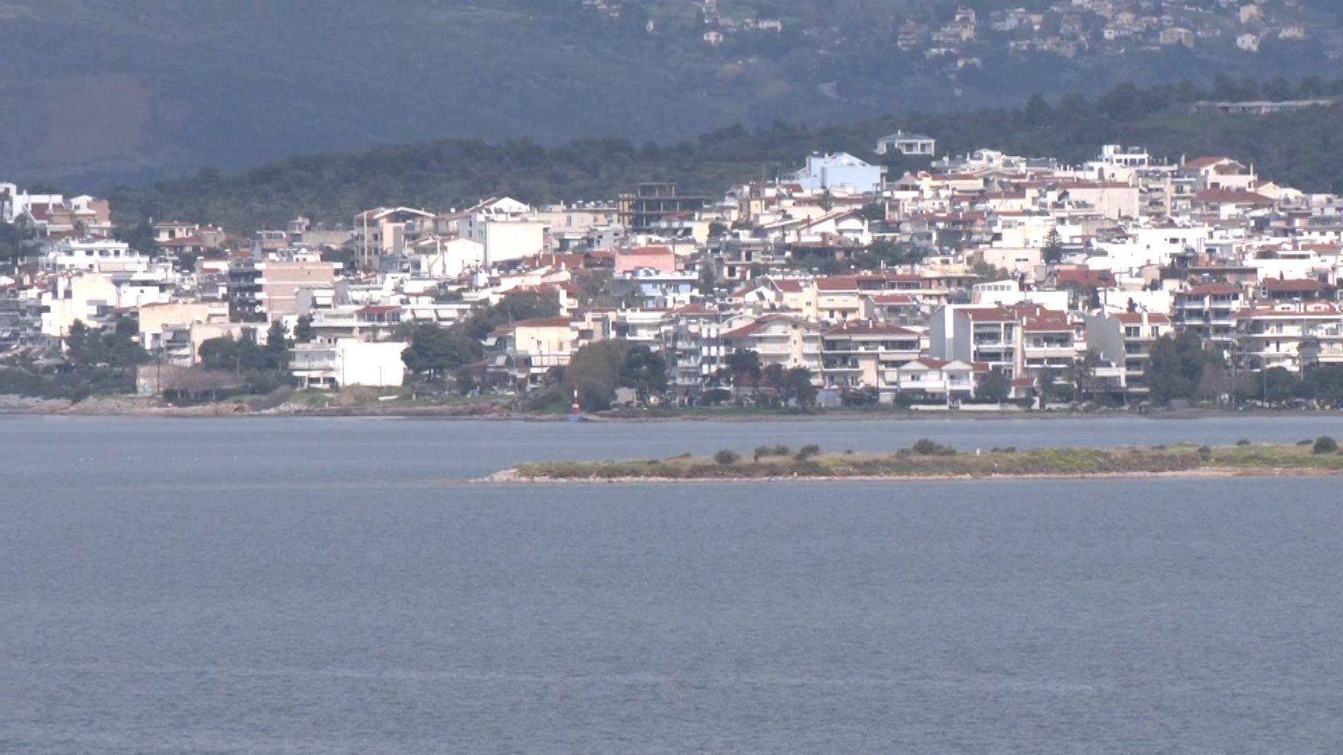 Αποζημιώσεις για τις μέδουσες ζητά το Επιμελητήριο Εύβοιας