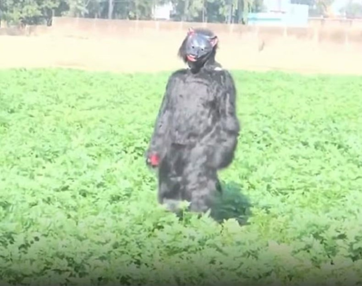 Πηγή: Daily Mail