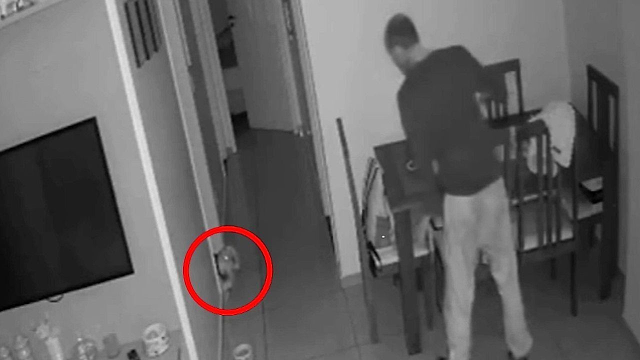 Ατρόμητος μικρόσωμος σκύλος διώχνει κλέφτη!