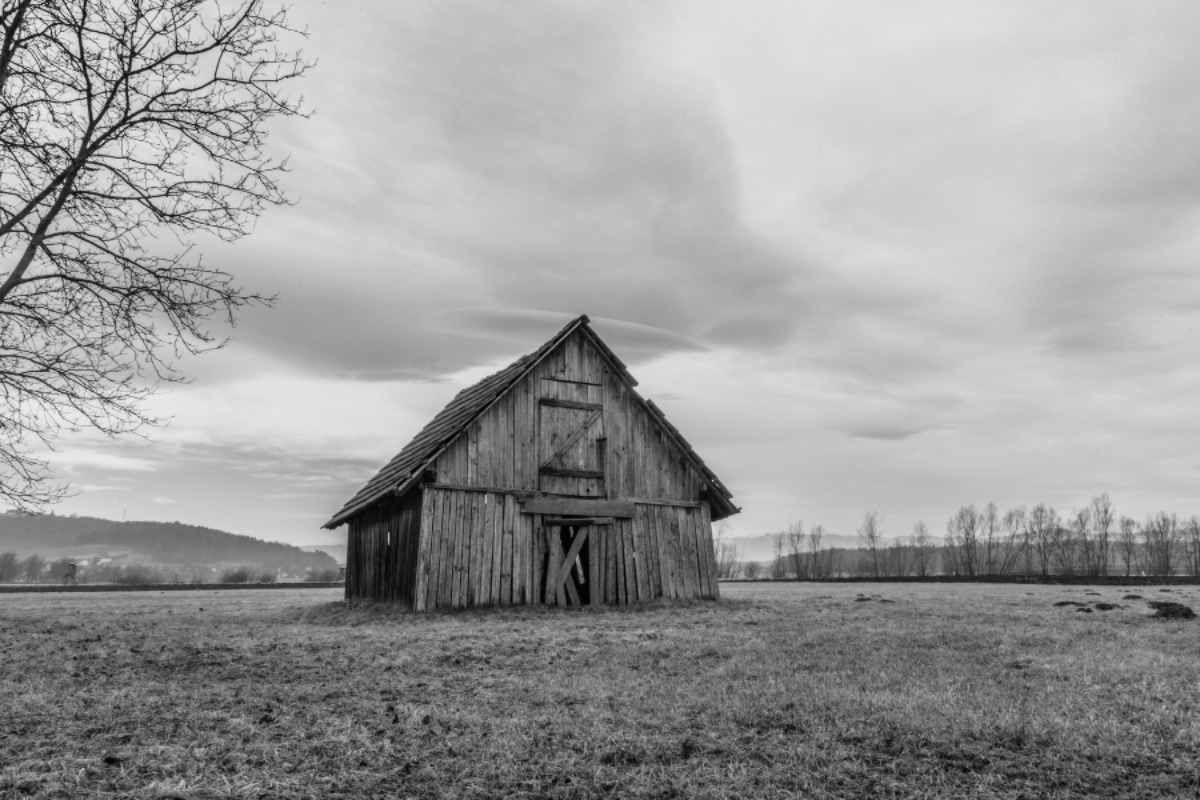 “Οι εφιάλτες που ξεσκέπασαν ένα έγκλημα: Η δραματική ιστορία του Κόκκινου Αχυρώνα”
