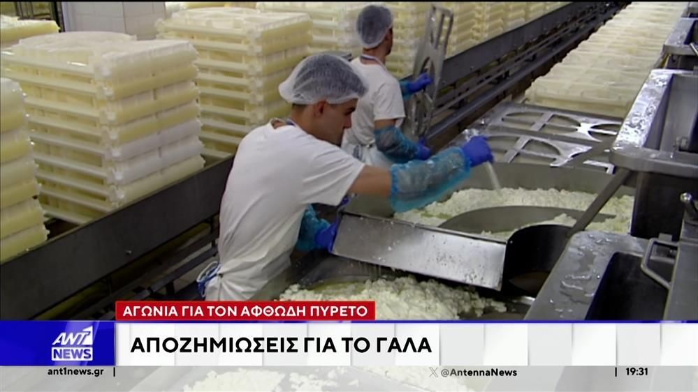 Δεύτερο κρούσμα αφθώδους πυρετού σε εκτροφείο κοντά στην πρώτη εστία στη Λέσβο