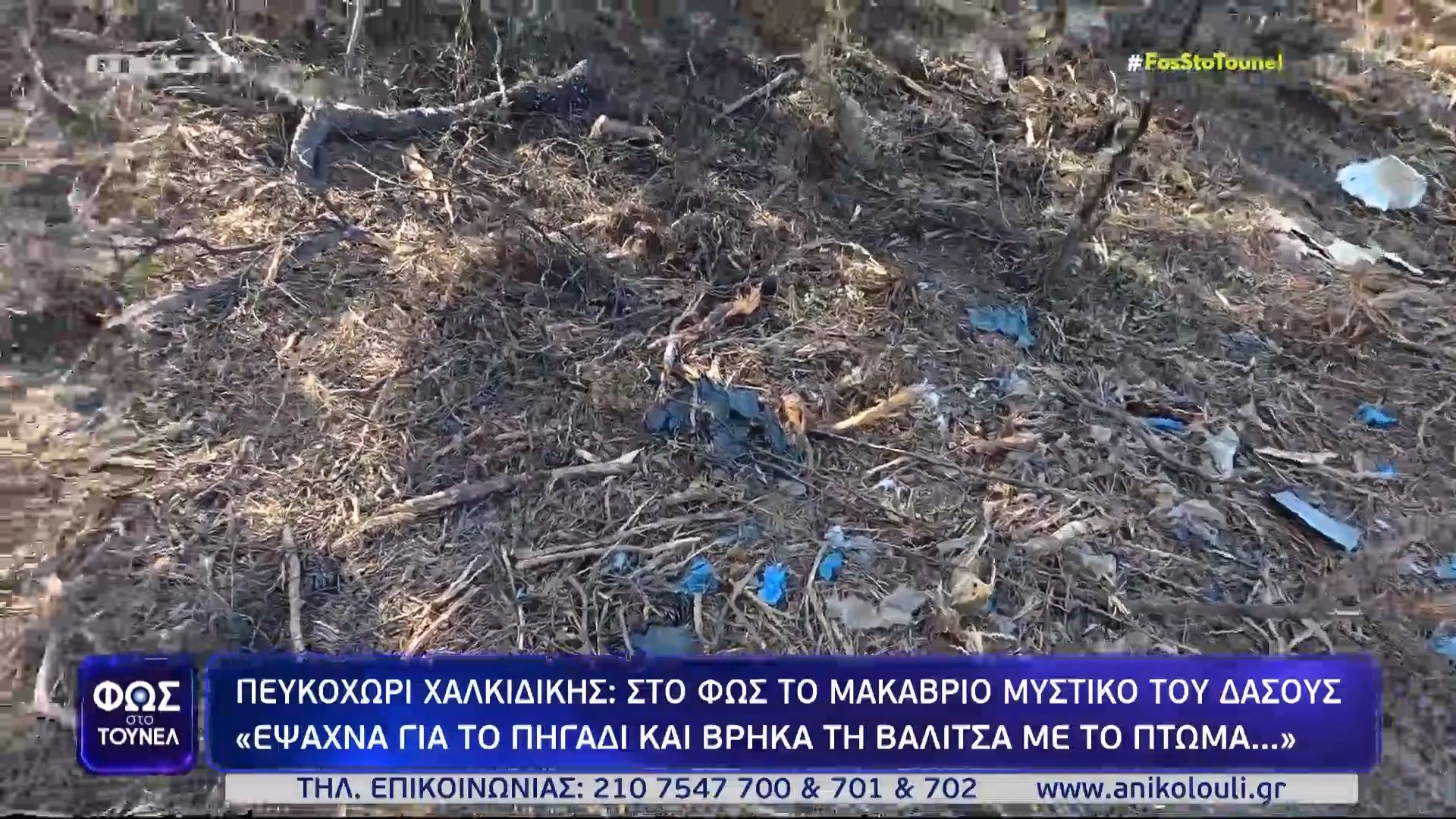 Home 67 Πευκοχώρι Χαλκιδική: «Έψαχνα το πηγάδι & βρήκα τη βαλίτσα» – Η μαρτυρία του προέδρου της κοινότητας που βρήκε το πτώμα