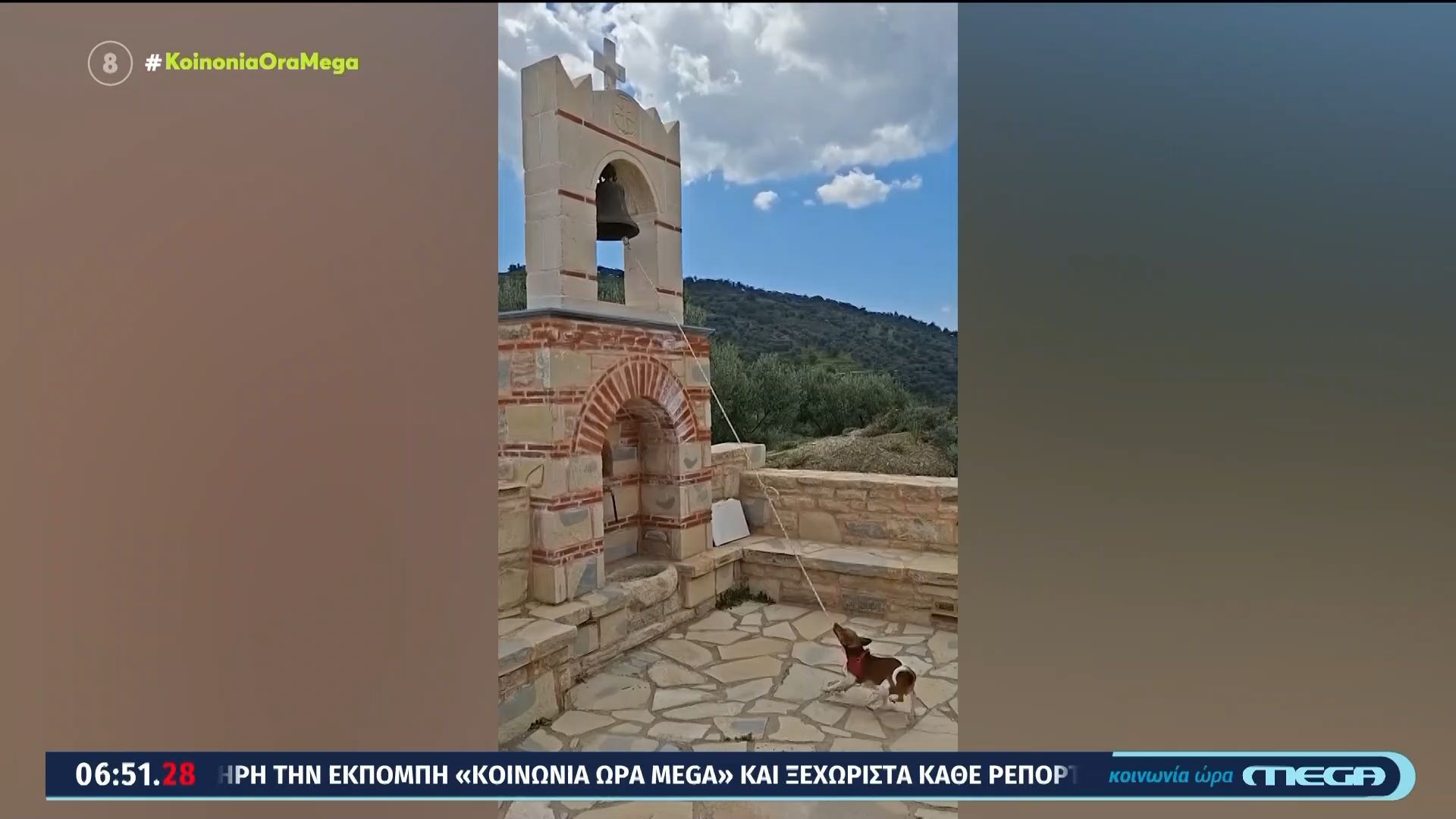 Σκύλος “καμπανοκρούστης” στη Μεσαρά