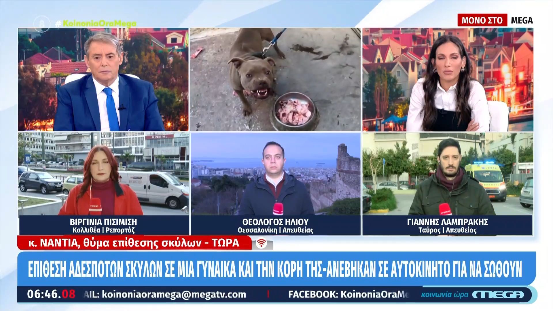 Θεσσαλονίκη: Επίθεση αδέσποτων σκύλων σε γυναίκα & την κόρη της – Ανέβηκαν σε αυτοκίνητο για να σωθούν