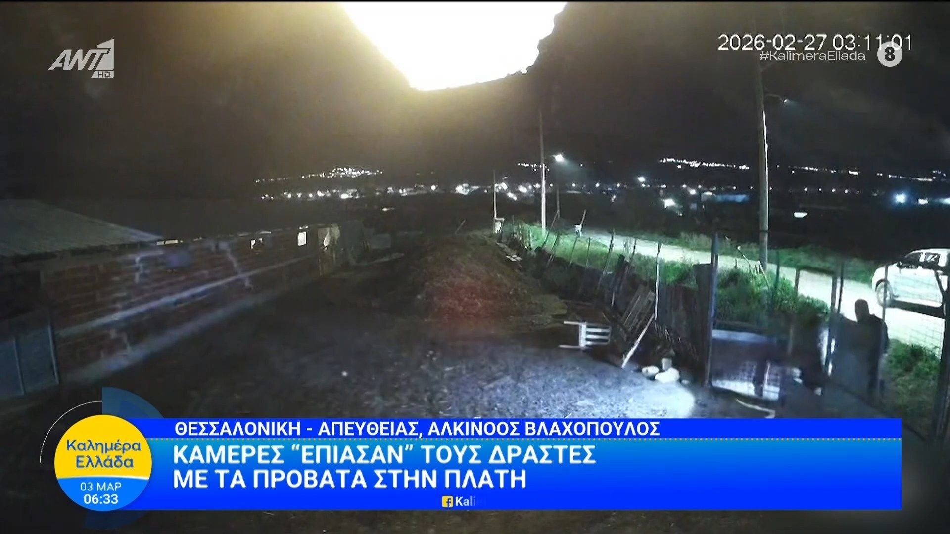 Θεσσαλονίκη: Κάμερες “έπιασαν” τους δράστες με τα πρόβατα στην πλάτη – Καλημέρα Ελλάδα – 03/03/2026