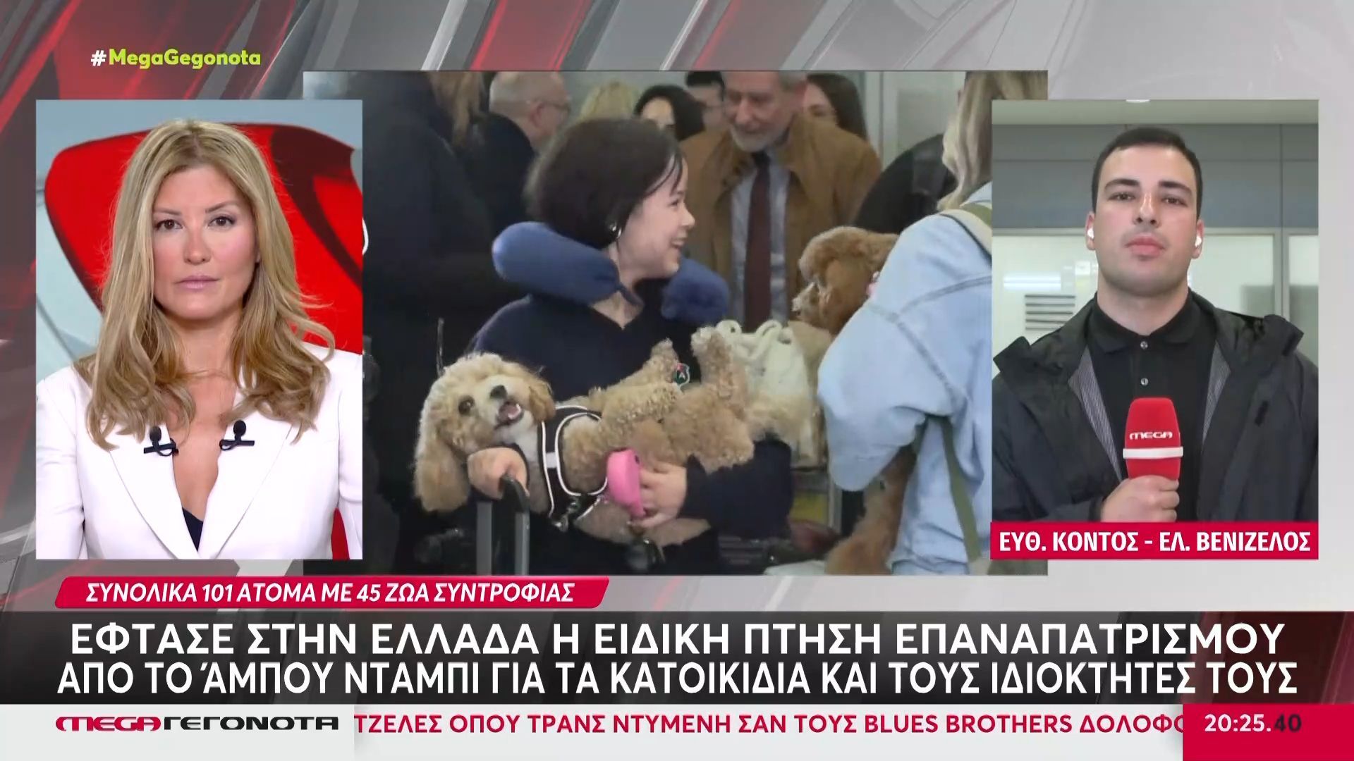 Έφτασε στην Ελλάδα η ειδική πτήση επαναπατρισμού για τα κατοικίδια και τους ιδιοκτήτες τους