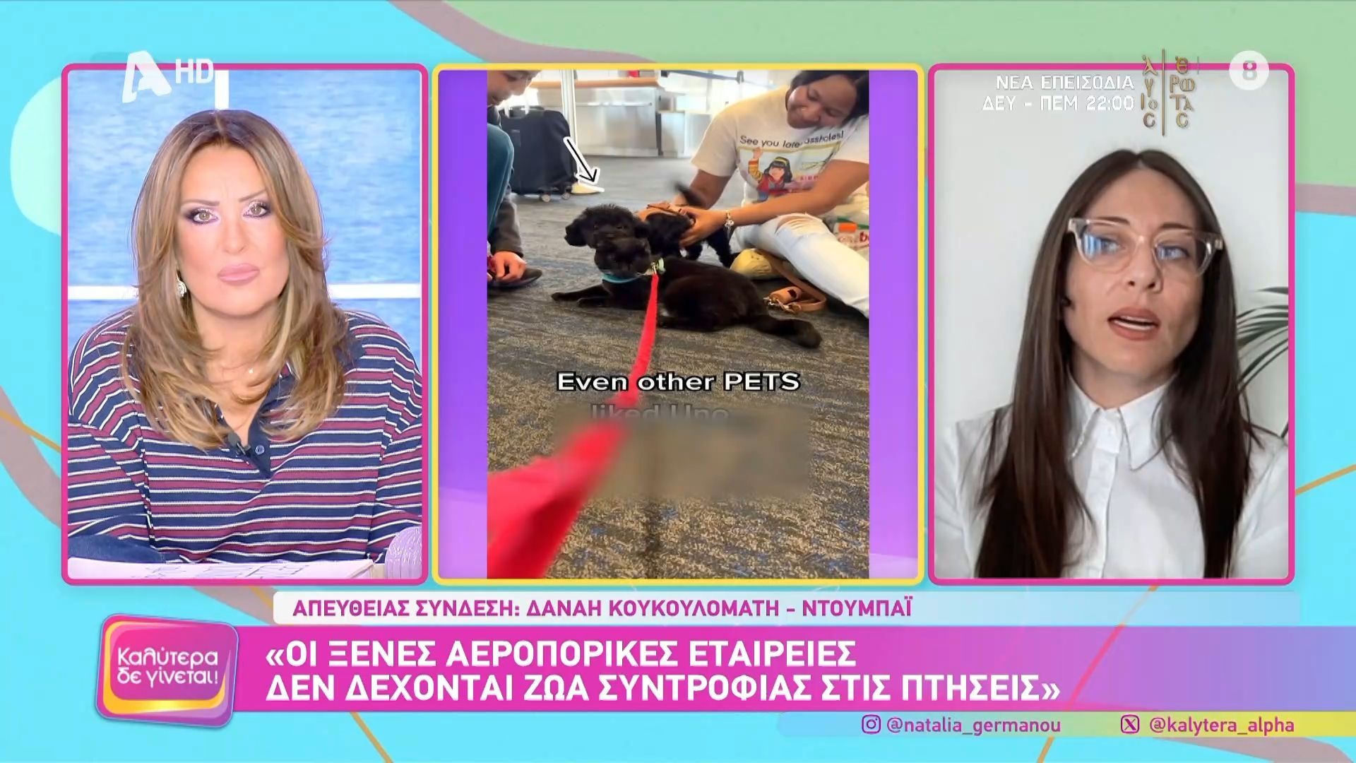 Εγκλωβισμένοι Έλληνες με τα κατοικίδια τους στα Ηνωμένα Αραβικά Εμιράτα