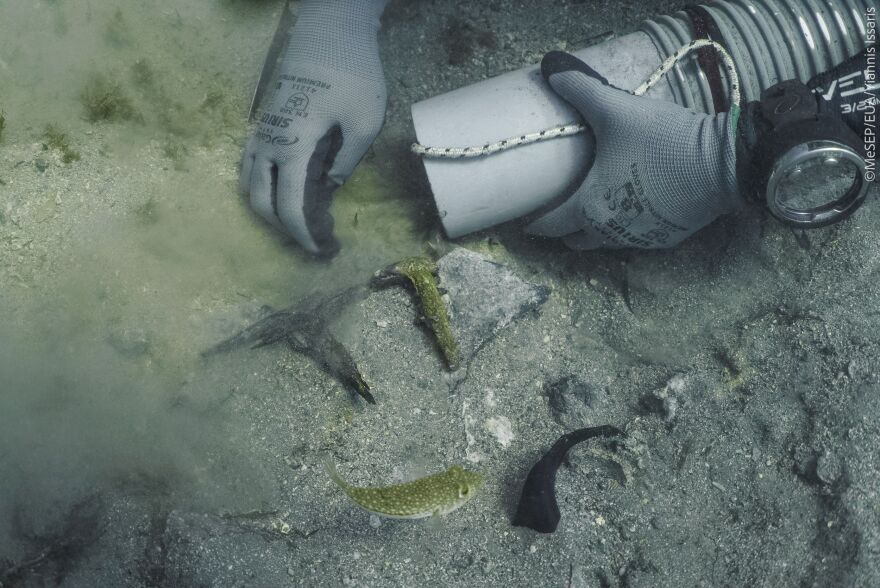 Νέο εύρημα στο ναυάγιο του πλοίου του Έλγιν στα Κύθηρα: Βρέθηκε θραύσμα πιθανόν από τον γλυπτό διάκοσμο του Παρθενώνα
