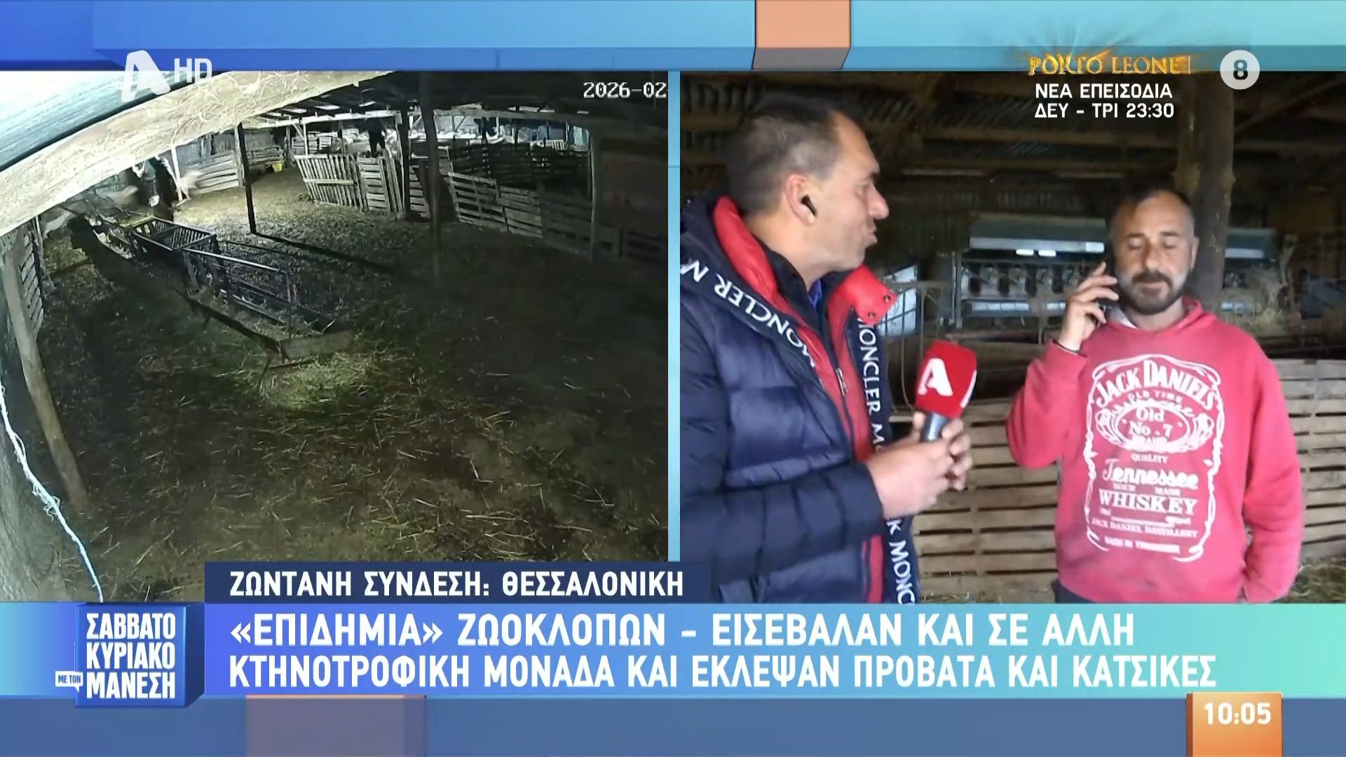 «Επιδημία» ζωοκλοπών: Εισέβαλαν σε κτηνοτροφική μονάδα και έκλεψαν πρόβατα και κατσίκες