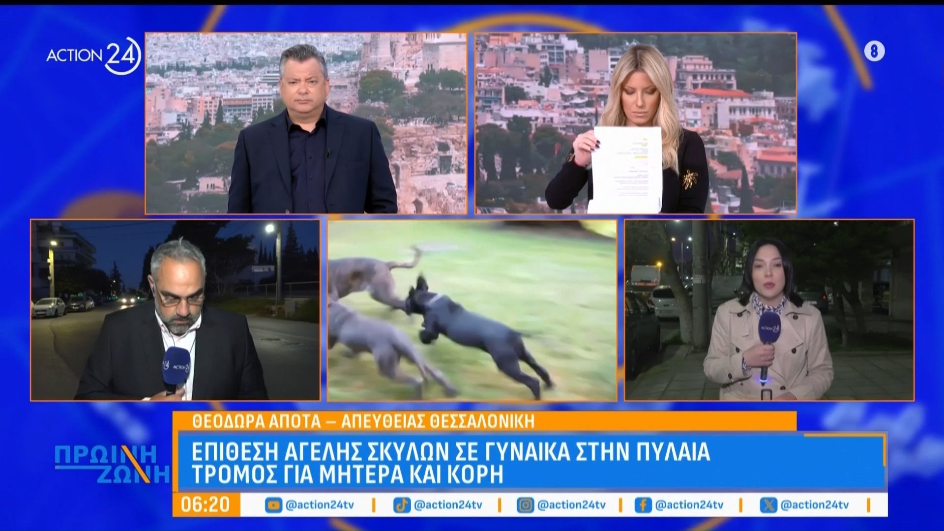 Επίθεση αγέλης σκύλων σε γυναίκα στην Πυλαία